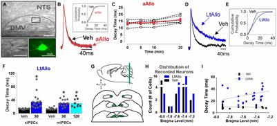 Protein Kinase C-Dependent Effects of Neurosteroids on Synaptic GABAA Receptor Inhibition Require the δ-Subunit